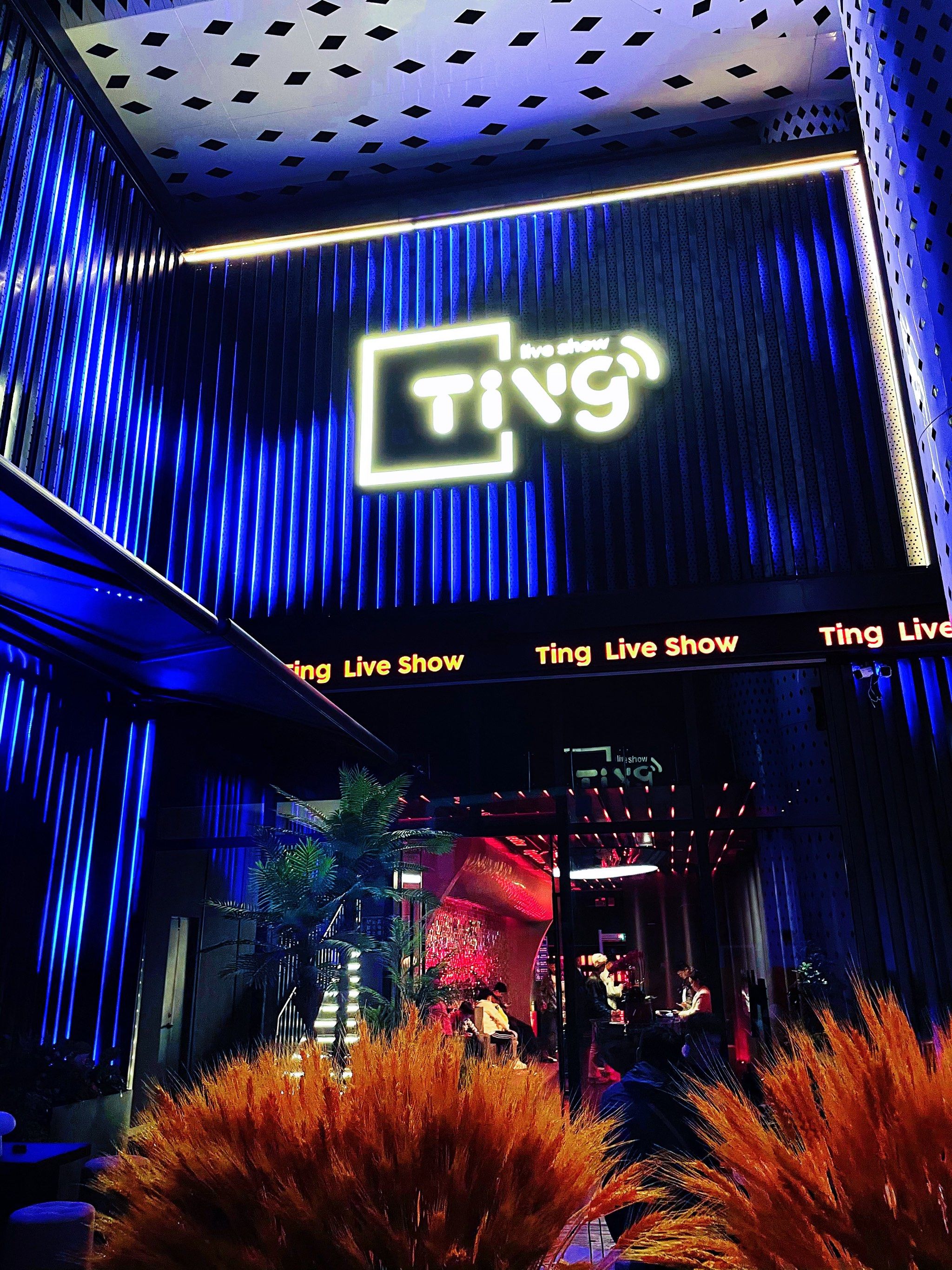 南充商务ktv中低端区别解析-南部县KTV团购